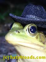 /home//u458753944/public_html/sourcegallery//Frogs/More bullfrogs/P8170154.JPG